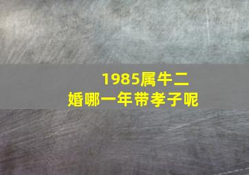 1985属牛二婚哪一年带孝子呢