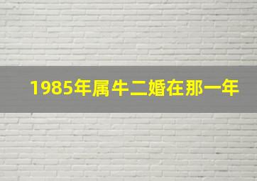 1985年属牛二婚在那一年