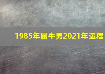 1985年属牛男2021年运程