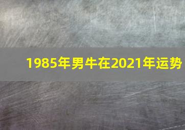 1985年男牛在2021年运势