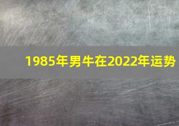 1985年男牛在2022年运势