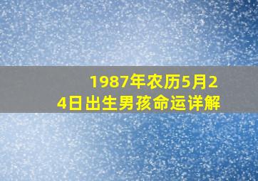 1987年农历5月24日出生男孩命运详解