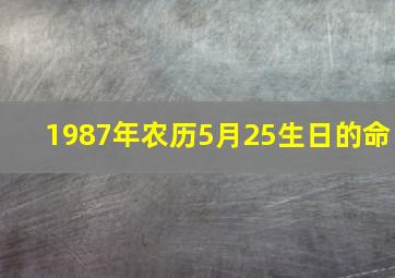 1987年农历5月25生日的命