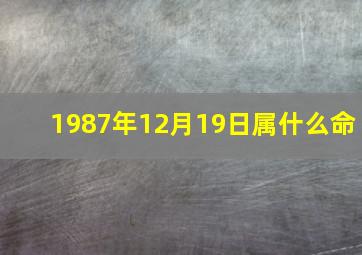 1987年12月19日属什么命