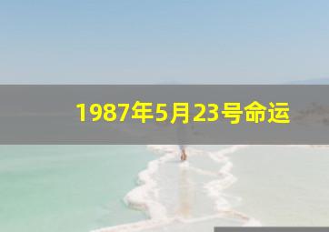 1987年5月23号命运