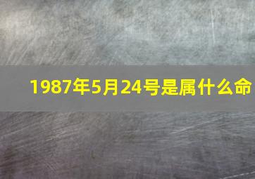 1987年5月24号是属什么命