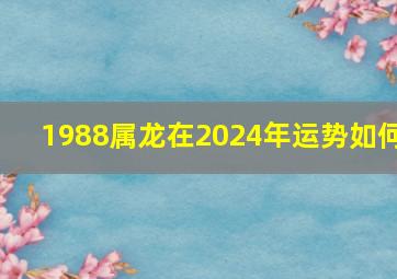 1988属龙在2024年运势如何