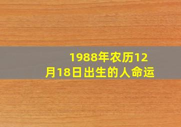 1988年农历12月18日出生的人命运