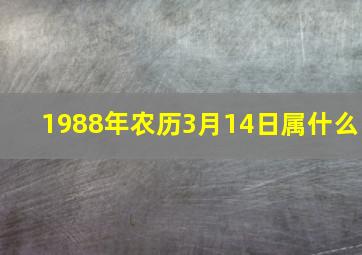 1988年农历3月14日属什么