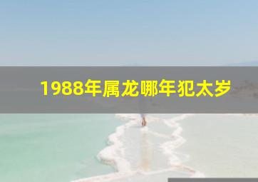 1988年属龙哪年犯太岁