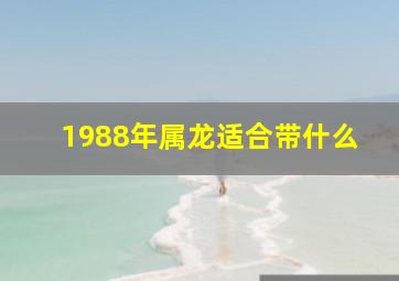 1988年属龙适合带什么