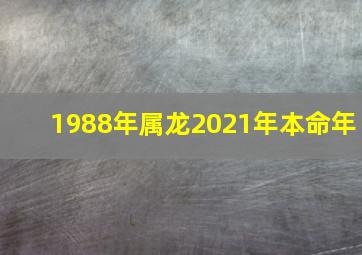 1988年属龙2021年本命年