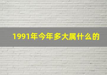 1991年今年多大属什么的