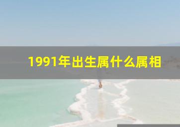 1991年出生属什么属相