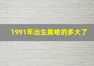 1991年出生属啥的多大了