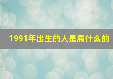 1991年出生的人是属什么的