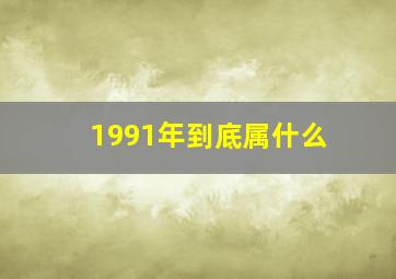 1991年到底属什么