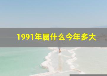 1991年属什么今年多大