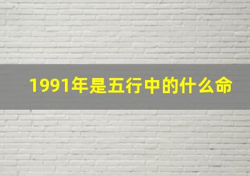 1991年是五行中的什么命