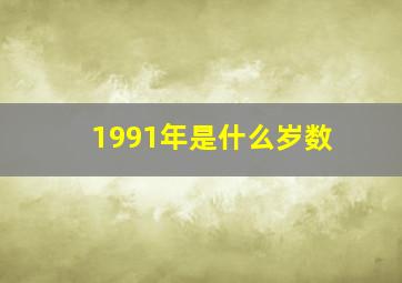 1991年是什么岁数