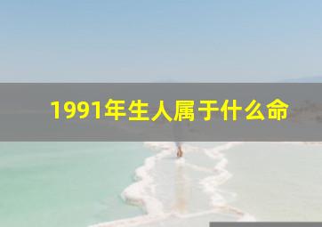 1991年生人属于什么命