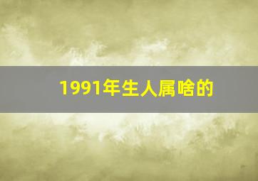 1991年生人属啥的