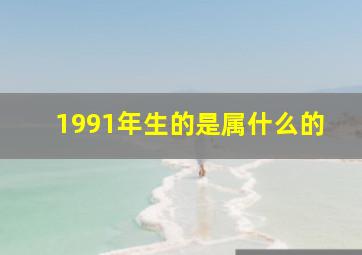 1991年生的是属什么的