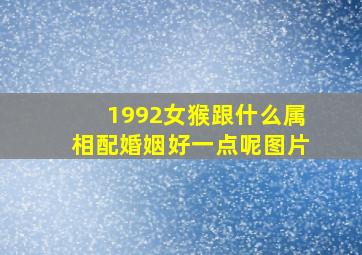 1992女猴跟什么属相配婚姻好一点呢图片