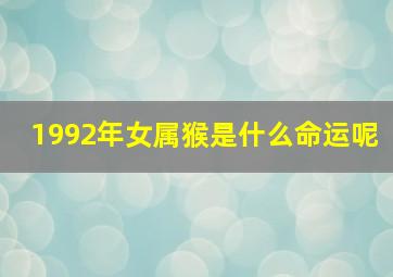 1992年女属猴是什么命运呢