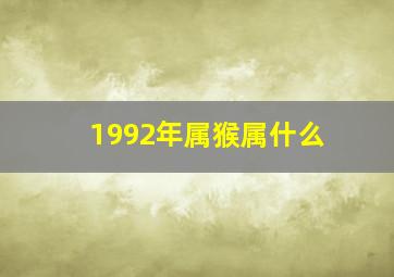 1992年属猴属什么