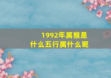 1992年属猴是什么五行属什么呢