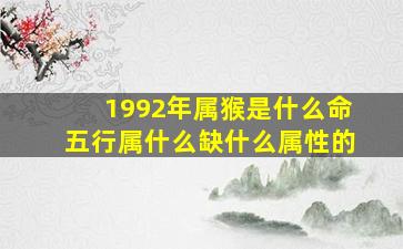 1992年属猴是什么命五行属什么缺什么属性的