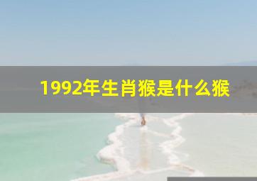 1992年生肖猴是什么猴