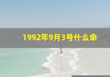 1992年9月3号什么命