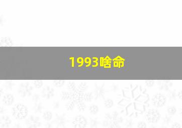 1993啥命