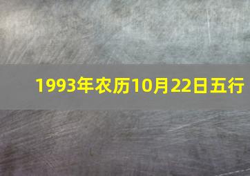 1993年农历10月22日五行