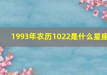 1993年农历1022是什么星座