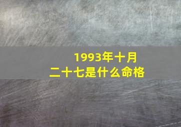 1993年十月二十七是什么命格