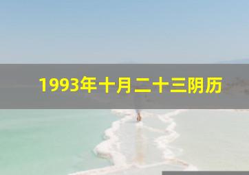 1993年十月二十三阴历