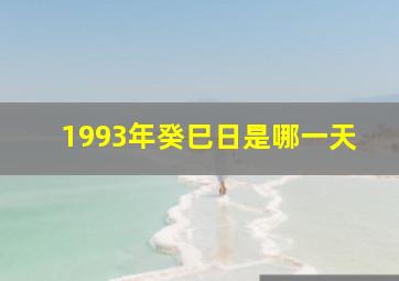 1993年癸巳日是哪一天