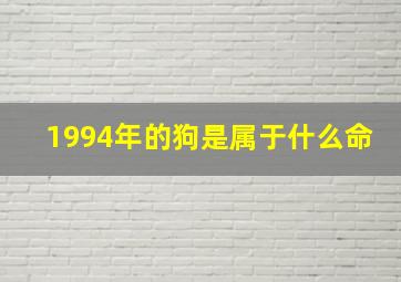 1994年的狗是属于什么命