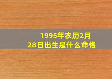 1995年农历2月28日出生是什么命格