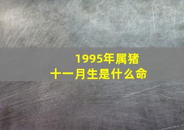 1995年属猪十一月生是什么命