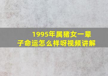 1995年属猪女一辈子命运怎么样呀视频讲解