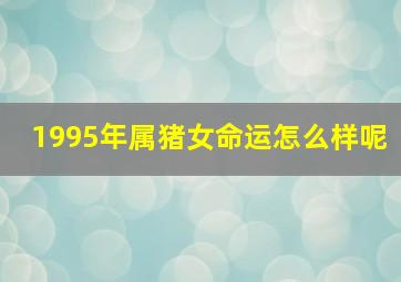 1995年属猪女命运怎么样呢