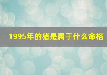 1995年的猪是属于什么命格