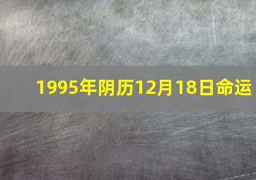 1995年阴历12月18日命运