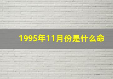 1995年11月份是什么命