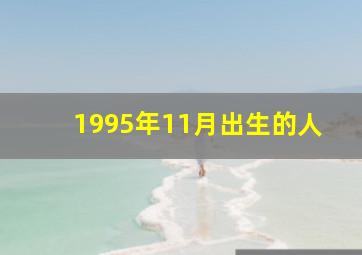 1995年11月出生的人