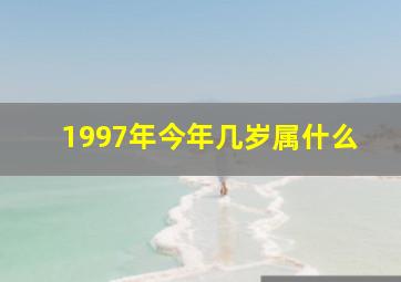 1997年今年几岁属什么